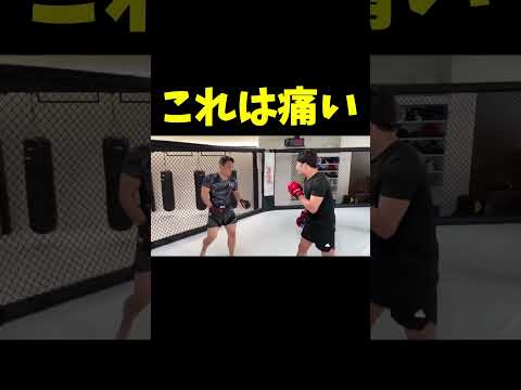 内臓をエグる朝倉未来の三日月蹴り