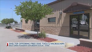 Bakersfield Animal Care Center to offer free dog tags, microchips through June