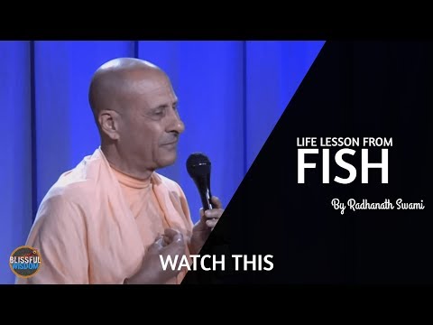 Life Lessons from FISH | By Radhanath Swami