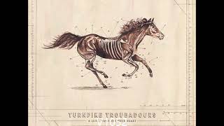 Turnpike Troubadours - Pipe Bomb Dream