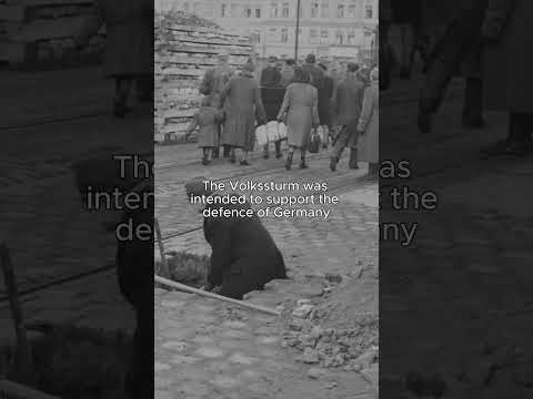 Volkssturm | The last defense of the Reich #volkssturm #shorts #wehrmacht #ww2 #ww2history  #history