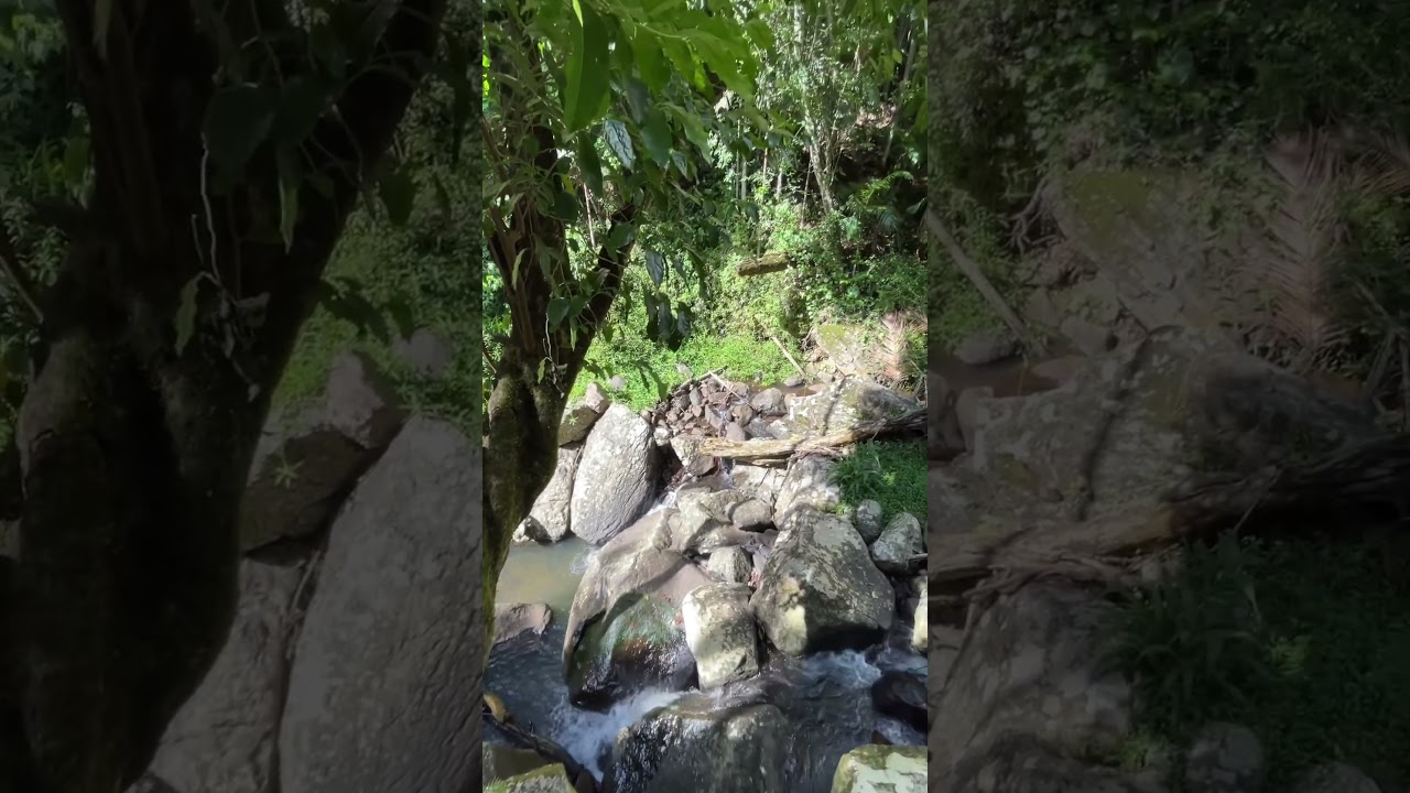 YouTube Short thumbnail