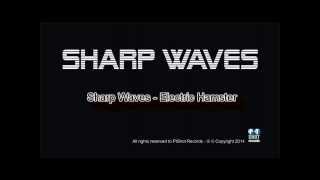 Sharp Waves - Electric Hamster (OFFICIAL audio preview)