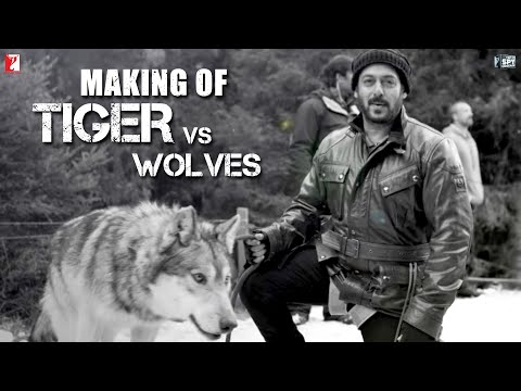 Tiger vs Wolves | Making of Tiger Zinda Hai | Salman Khan | Katrina Kaif | Ali Abbas Zafar