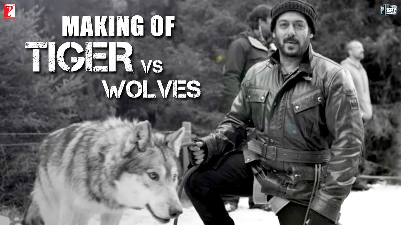 Making of Tiger vs Wolves | Tiger Zinda Hai | Salman Khan | Katrina Kaif | Ali Abbas Zafar