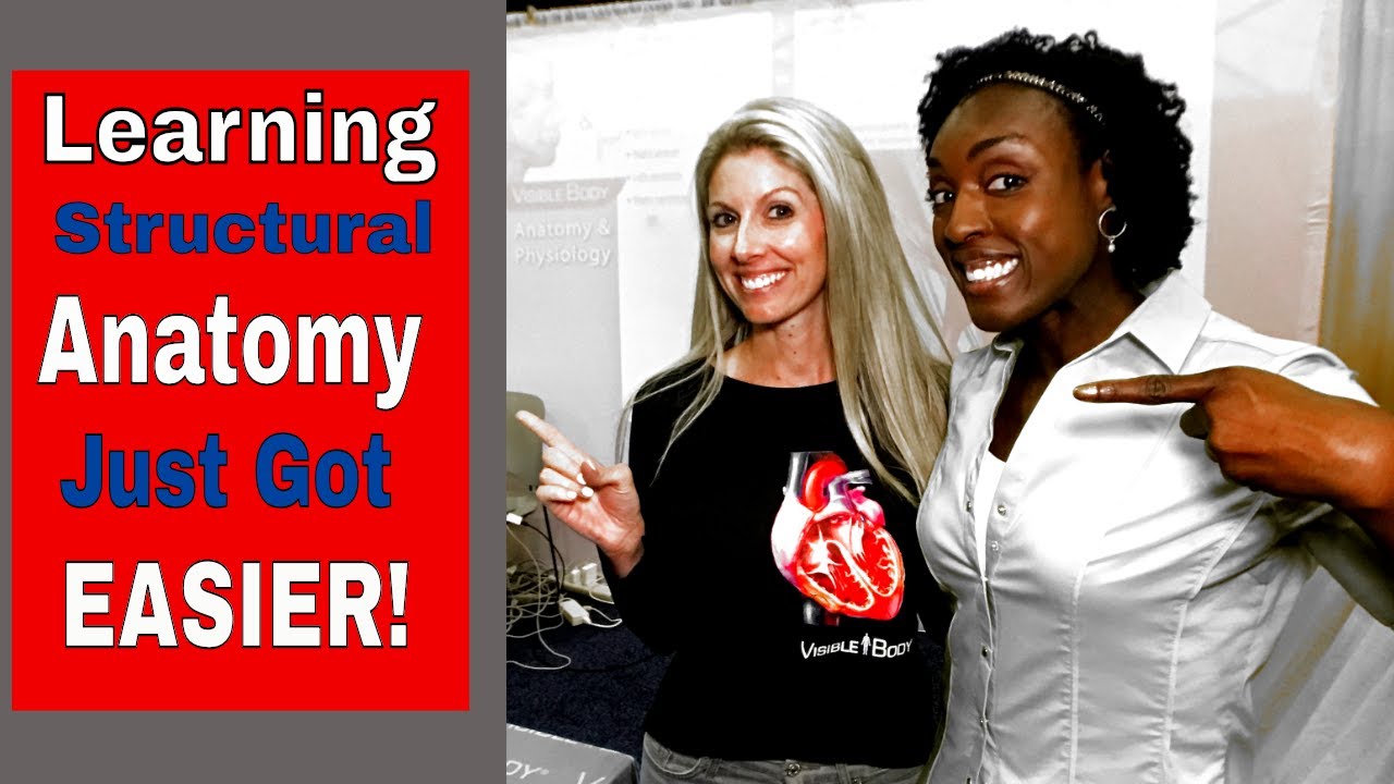 Structural Anatomy - Effective Anatomy and Physiology Study Tool