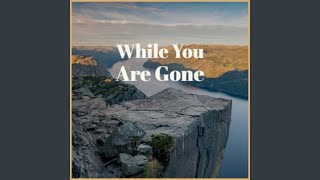 While You Are Gone