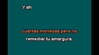 Vicente Fernandez LA LEY DE LA VIDA Karaoke