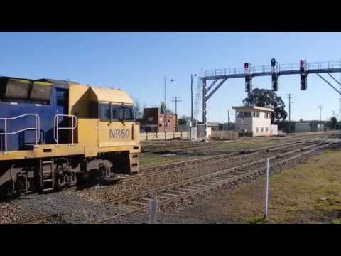 Junee Trains NR60, NR78 & NR64 with 4MB2