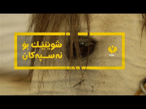 [CC] |  شوێنێک بۆ ئەسپەکان - A Home for the Horses
