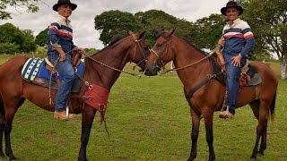 Video Vamos Caballo Castaño de Los Morochos Figueroa