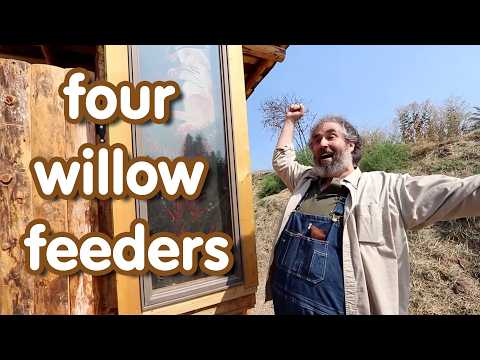 a quick tour of our four willow feeders