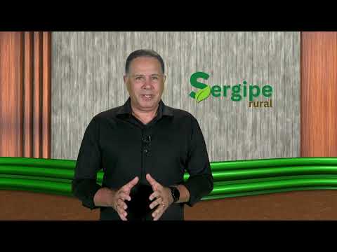 SERGIPE RURAL - PROGRAM 28 - 2nd season