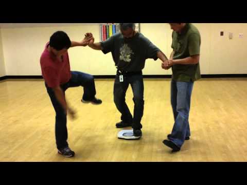 Taiji (Tai Chi) Momentum Power Study