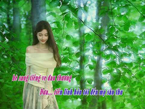 Nhạt phai - Ý Lan