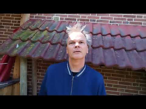 Honor Magic 4 Lite | Testvideo in Full-HD mit 30 Bildern pro Sekunde