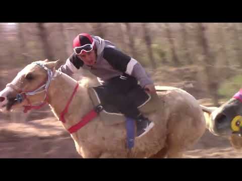 Reunión en Club Hípico La Cantera