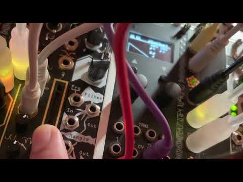 Controlling the Dual Quantizer of Ornaments with #Instruo [1f]