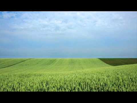 Aleksandar Aca Karadžin   Nostalgija Izvođač Ljubiša Krnić