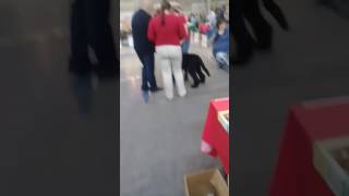 , видео 04.06.2017