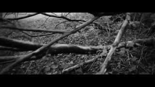 Team Sleep - Ataraxia