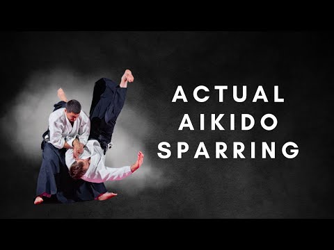 Real Aikido Sparring That WORKS