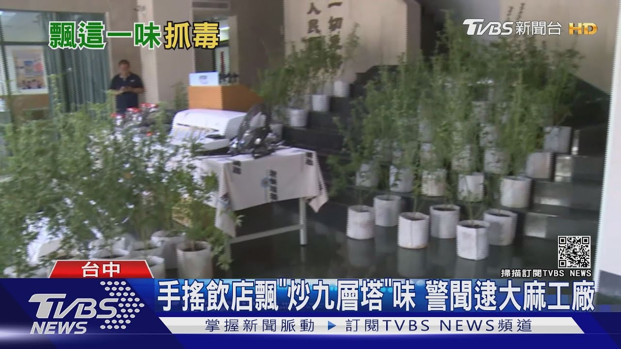 手搖飲店飄「炒九層塔」味 警聞逮大麻工廠