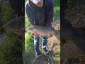 Video Thumbnail for Lure Fishing Then This Happened.