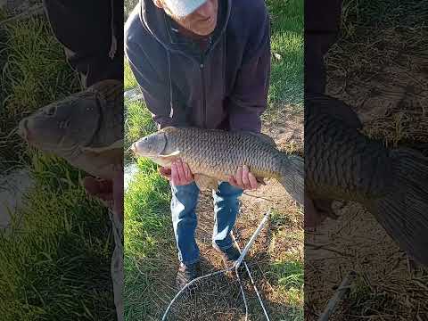 Lure Fishing Then This Happened.