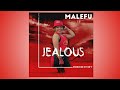 Malefu Jealous Official Audio