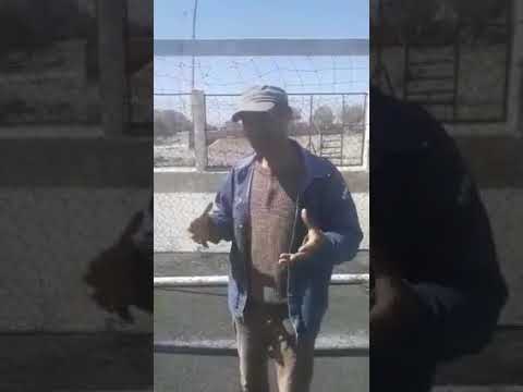 Hadi hiya lmchkhara willa fala(3)