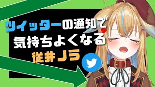 【従井ノラ/深層組切り抜き】Twitterの通知で気持ち良くなる従井ノラ【雑談配信】