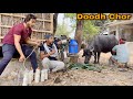 Must Watch Milk Choor New Funny Comedy Video || By Bindas Fun Nonstop