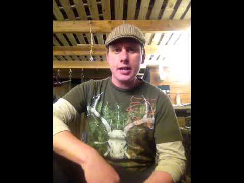 Ferret breeding talk, unfortunate news