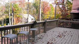 preview picture of video 'Lakeview Chalet, Beech Mountain Lakes'