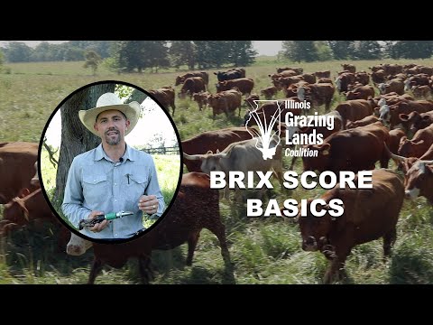 How To Take Forage Brix Test