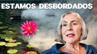 ESTAMOS DESBORDADOS Marzo 2026 #88b