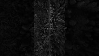 Him and I #blackwhite #lyrics #musiclyrics #songlyrics #aesthetic #song #dark #edit