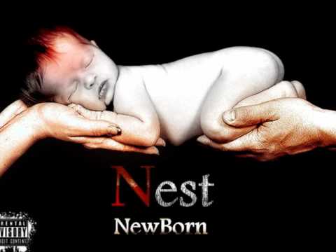3. NEST - Ndergjegja e paster