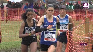 Plouay 2018 : Cross Elite Femmes (Victoire de Sophie Duarte) Plouay 2018 : Cross Elite Femmes (Victoire de Sophie Duarte)