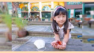 [한일가족/日韓家族]춘천여행/春川旅行/남이섬/ナミソム/겨울 연가/冬のソナタ/추석여행/秋の旅行