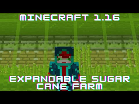 Minecraft 1.16 Expandable Sugar Cane Farm