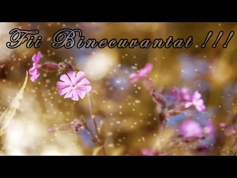 Orchestra - Maranatha Kapfenberg - Colaj cu cantari crestine minunate