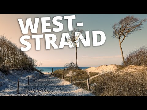 der Darßer Weststrand - einer der schönsten Strände Europas (Fischland-Darß-Zingst)