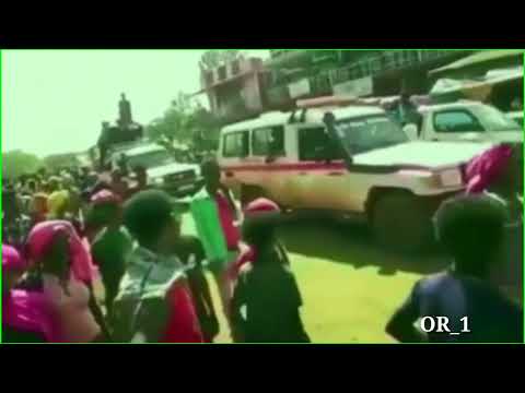 Maal  Jettii Jolleen Oromoo ABO. ABOn Gaachana Keenyaa Jettii Jolleen Oromoo.