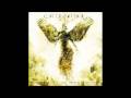 Celldweller - Surgical