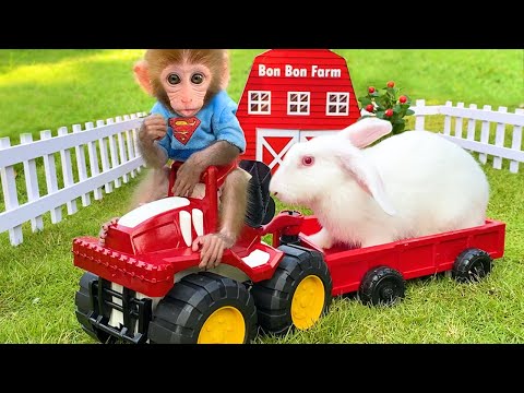 Monyet BonBon Lucu Jual Es Krim Pelangi Lezat dan Nonton Film Seru - BonBon Indonesia