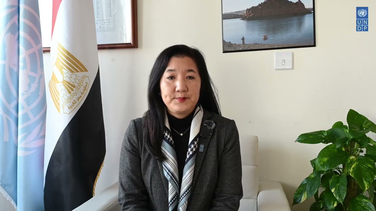 Reflecting on 2025: A Message from UNDP Egypt