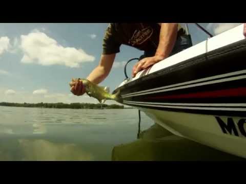 How to properly catch and release a fish