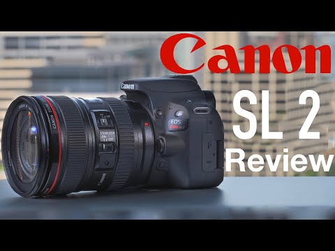 Canon SL2 (200D) Review BEST Camera for Beginners